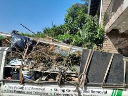 Best Estate Cleanout  in Swannanoa, NC